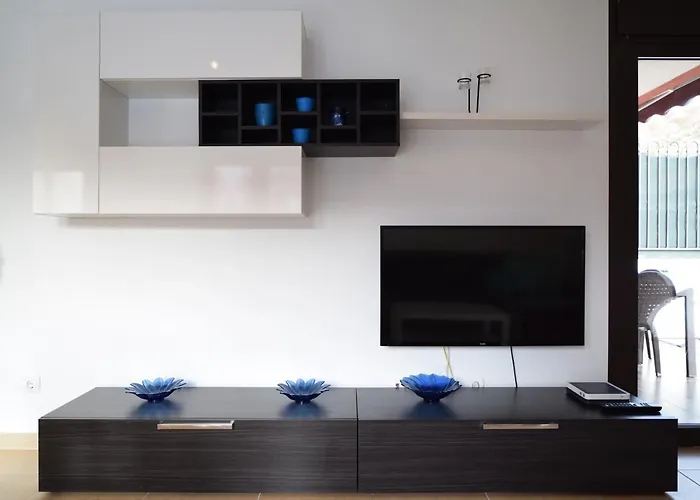 Mocan Perfect * Palm-mar