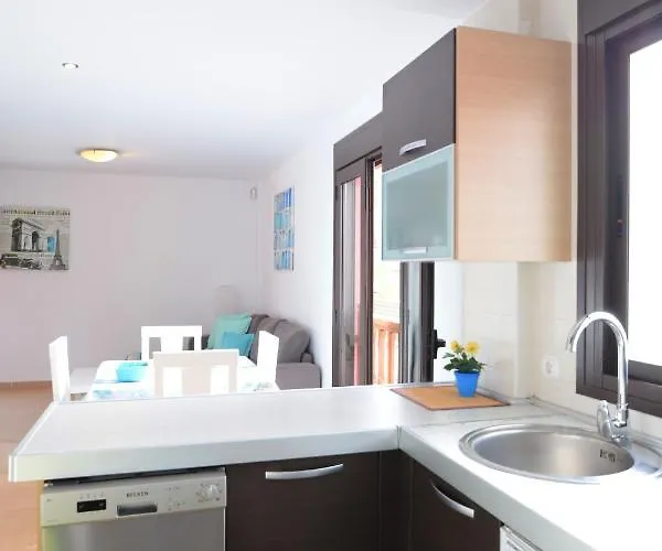 Mocan Perfect Palm-mar