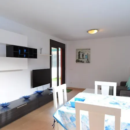 Mocan Perfect Palm-mar