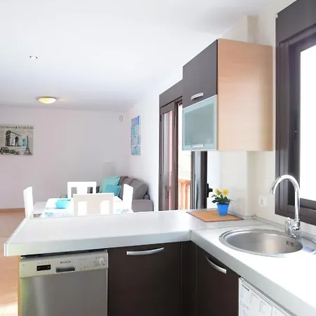 Mocan Perfect Palm-mar