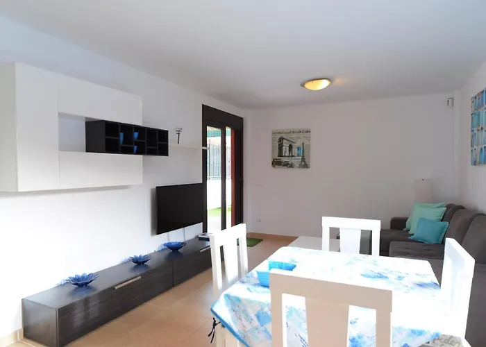 Mocan Perfect Palm-mar